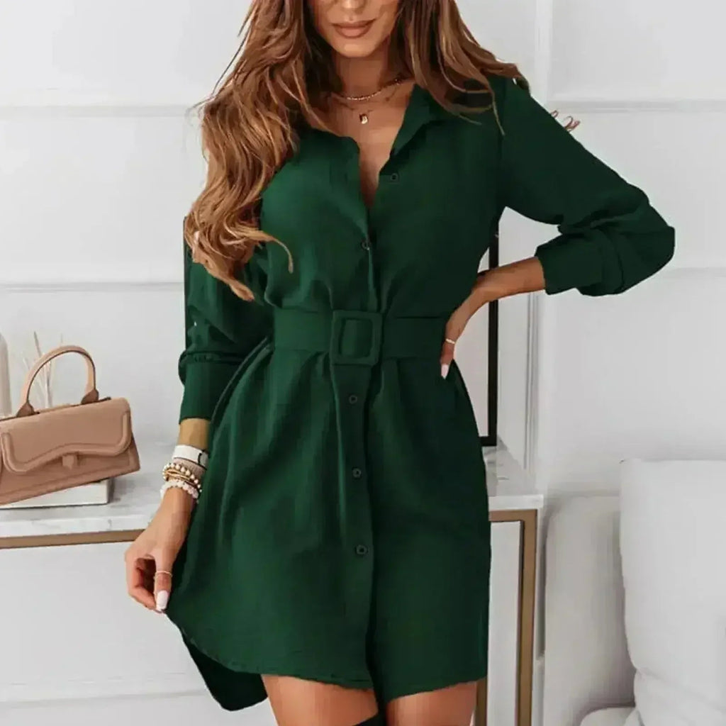 Harvest Muse Long-Sleeve A-Line Shirt Dress