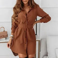 Harvest Muse Long-Sleeve A-Line Shirt Dress