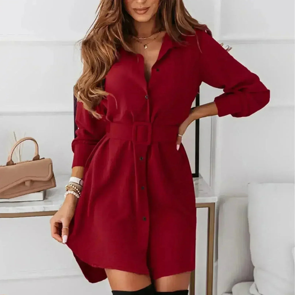 Harvest Muse Long-Sleeve A-Line Shirt Dress